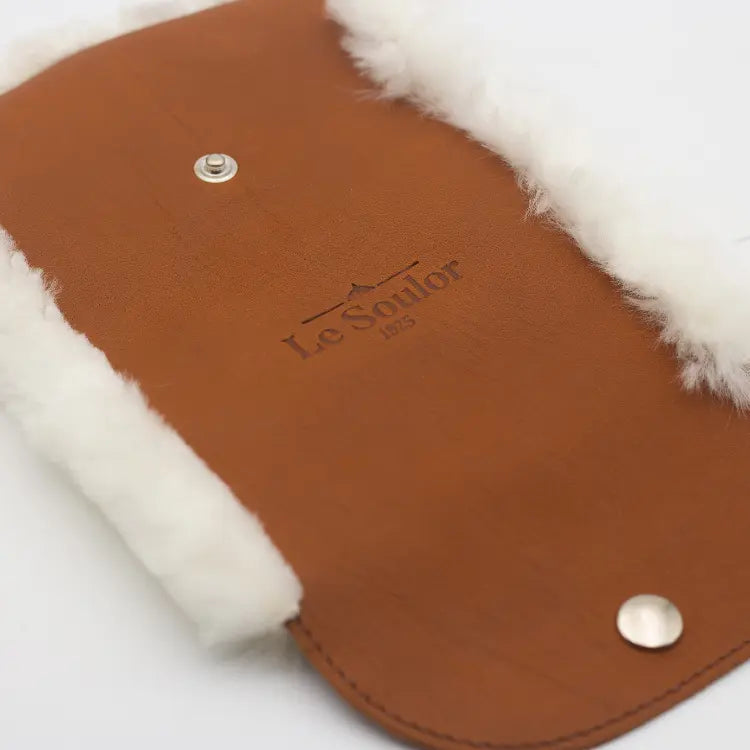 gant lustreur 2.webp