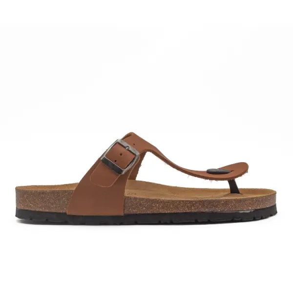 PLAJA CAMEL